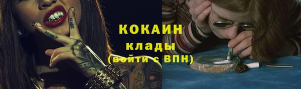 тгк Белокуриха