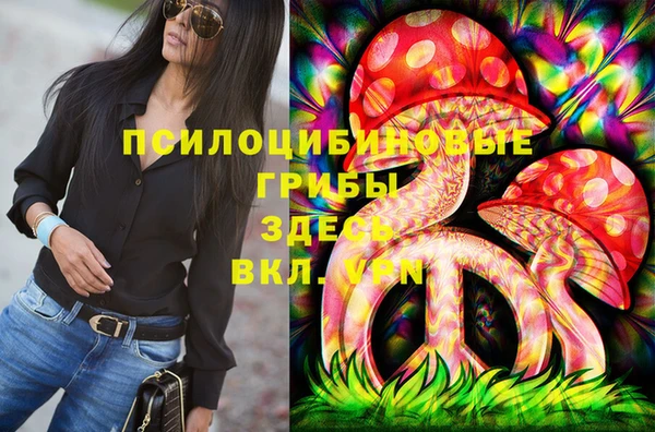 меф Богородицк