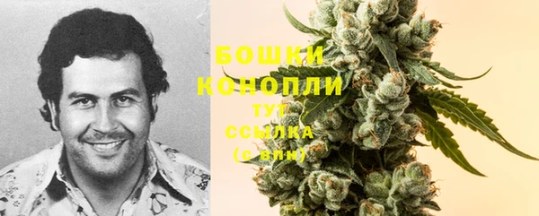 тгк Белокуриха
